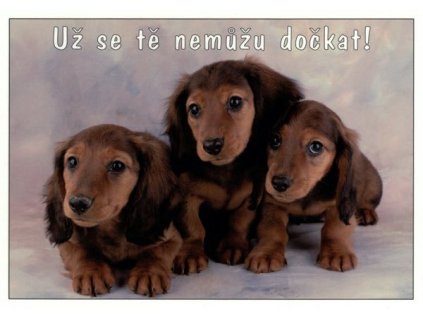 Pohlednice Nemůžu se tě dočkat!