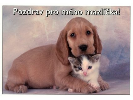Pohlednice Pozdrav pro mazlíčka!