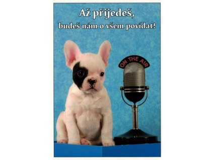 Pohlednice Až přijedeš...