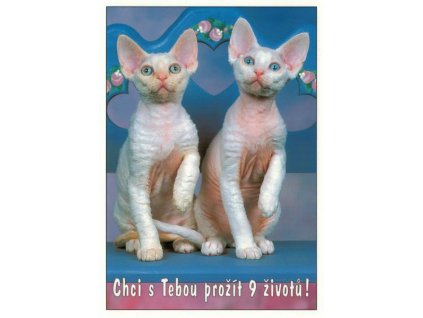 Pohlednice Chci s Tebou prožít 9 životů!