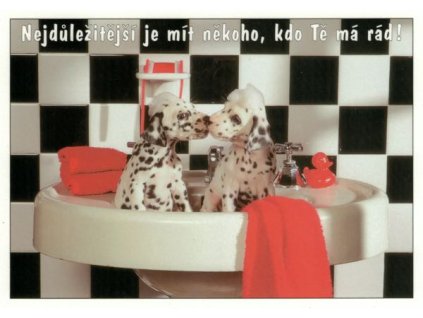 Pohlednice Nejdůležitější je mít někoho...