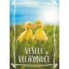 Pohlednice Veselé Velikonoce - kachničky