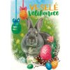 Pohlednice Veselé Velikonoce 134