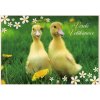 Pohlednice Veselé Velikonoce 5