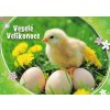 Pohlednice Velikonoční kuřátko 11