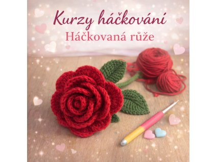 háčkovaná růže