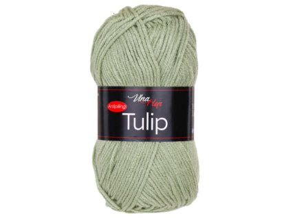 43360 1 prize tulip 41307