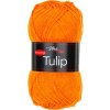 TULIP41176