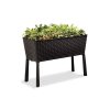 Vyvýšený záhon EASY GROW antracit Keter 114x50x76cm
