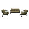 Zavi olive 2