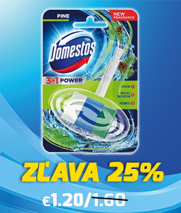 DOMESTOS WC blok 40g - Pine