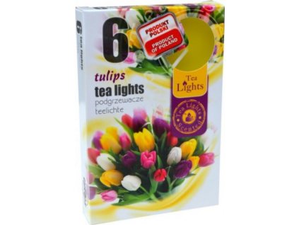 Čajové sviečky ADMIT 6ks tulipán
