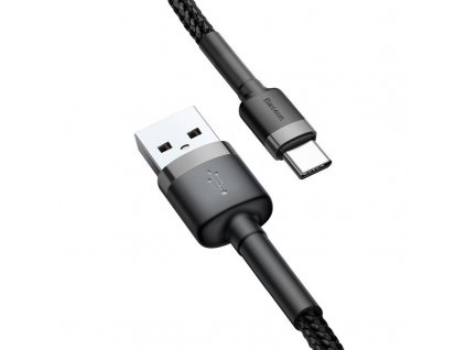 Baseus CATKLF-CG1 USB USB-C 2,0m