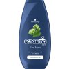 SCHAUMA šampón 250ml For Men proti lupinám