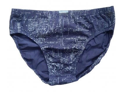 Andrie 3543 šedé pánské slipy