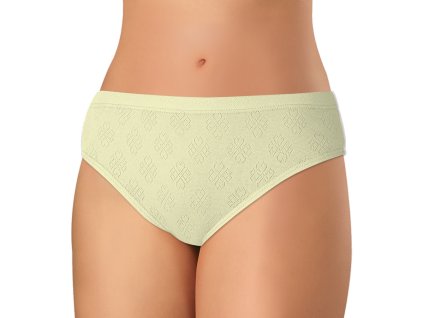 1010 smetanove andrie