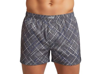 5965 panske trenky sede