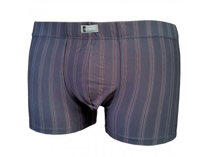 Andrie PS 4442 pánské boxerky