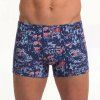 5992 tmave modre boxerky strakate Andrie