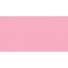 Andrie PS 2176 dámské kalhotky (Barva růžová, Velikost oblečení L)