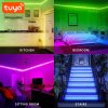 PST WD301210 Tuya WiFi LED Strip Kit (7)