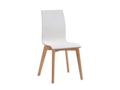 Jídelní židle Gracy | Bílá/dubová