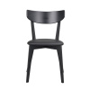 Dřevěné jídelní židle Ami | Černá