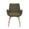 Židle s područkami Drimsdale | Zelené/světle hnědé