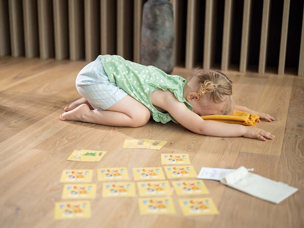 Pohybové pexeso Zvířátka – ukázka 5