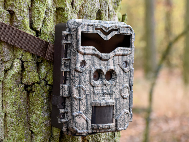 Jak vybrat fotopast?