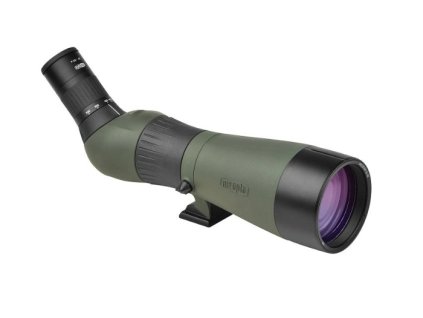 stany (700 x 500 px) (71)