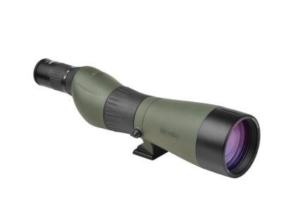 stany (700 x 500 px) (72)