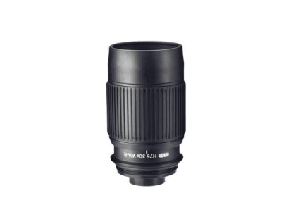 stany (700 x 500 px) (76)