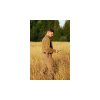 blaser nohavice airflow 23 airflow pants (5)