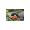 Blaser Suede Blaze Orange Cap