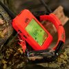 Obojek pro dalšího psa DOG GPS X25, zelený