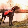 Obojek pro dalšího psa DOG GPS X25, zelený