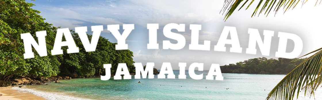Logo značky Navy Island