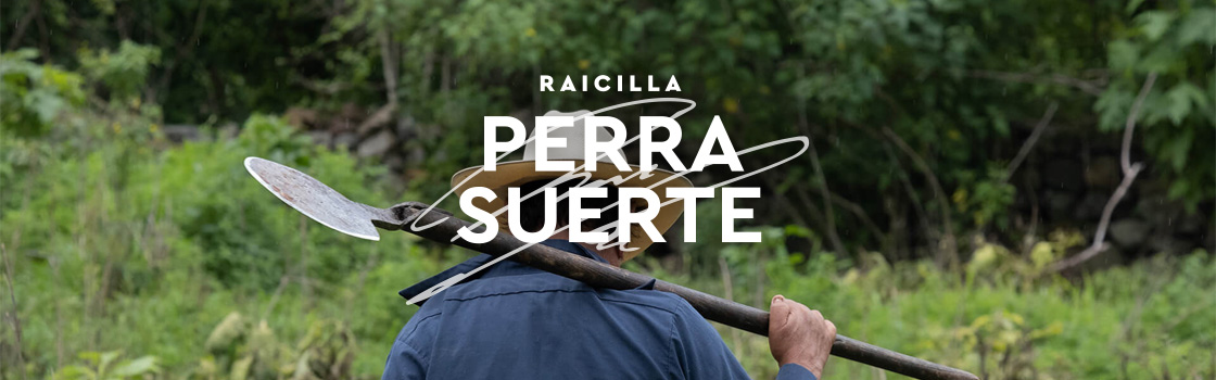 Logo palírny raicilla Perra Suerte