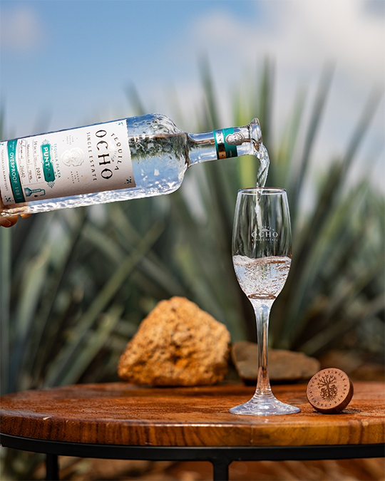 Jak poznat kvalitní Tequilu