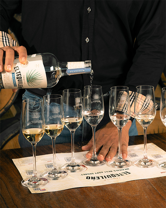 Degustace prémiové tequily El Tequileno