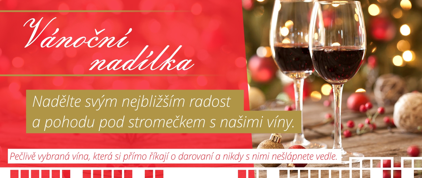 Skočte do Vánoční nabídky s kterou pod stromečkem zazáříte!