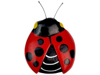 2kids toys drevena magnetka velka beruska