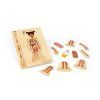 bigjigs toys drevene puzzle anatomie divka