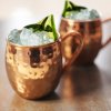 3852 1 forrest love medeny hrnek moscow mule mm4