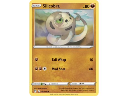 081 silicobra