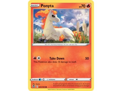 21 ponyta