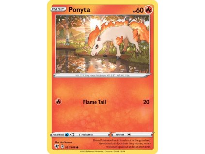 21 ponyta