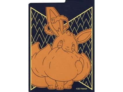 Shining Fates Eevee VMAX Deck Divider From the Elite Trainer Box