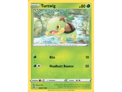 6 turtwig